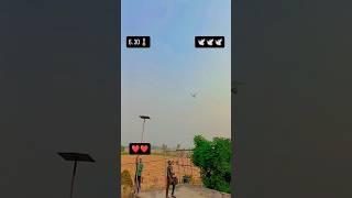 #remix #love #song #pigeon #raisenpigeons #kabootar #kabootarba #birds #vilogpigeon