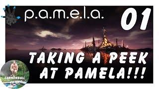 P.A.M.E.L.A. 01: A First Look!