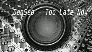 DanSeb - Too Late Now