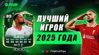 Коди Гакпо 89 Зимний Джокер / ОБЗОР игрока EA FC 25