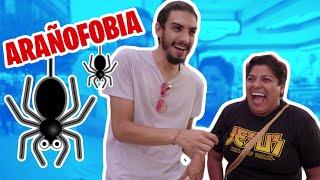 TIENE ARAÑOFOBIA?  (REGIOS RESPONDEN)  ► 5 Preguntas de cultura general