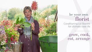 Be Your Own Florist Mini-Series: Conditioning cut flowers for ultimate vase life