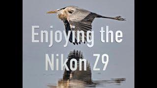 Enjoying the Nikon Z9.