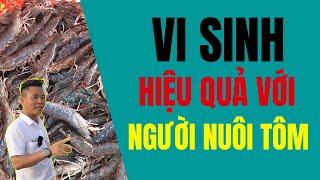 Tư vấn nuôi tôm bằng vi sinh, chế phẩm sinh học