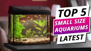 Compact Tanks, Big Style: Top 5 Best Small Size Aquariums 2025