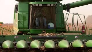 Shameless Plug for the Basicbill Farming Channel on YouTube
