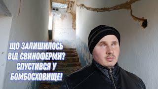 ЩО ЗАЛИШИЛОСЬ ВІД СВИНОФЕРМИ? СПУСТИВСЯ У БОМБОСХОВИЩЕ! 