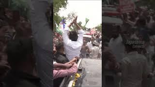 జగనన్నకు జేజేలు పలికిన పల్నాడు ప్రజానీకం70 కి.మీ వెళ్ళటానికి 8 గంటలు పట్టింది! #andhrapradesh