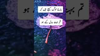 A1 sad status | Best two lines poetry | Whatsapp Sad Status | Urdu Poetry Short Clips | #short