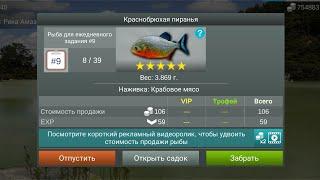 Краснобрюхая пиранья▶My fishing world▶мой рыболовный мир▶где и на что ловить пиранью