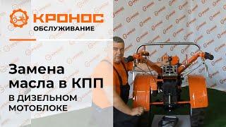 Замена масла в КПП в дизельном мотоблоке (kronos5.by/kronos5.ru)