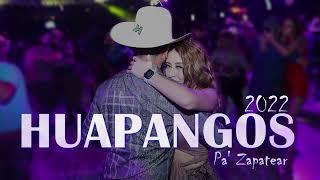 Huapangos Mix 2022 Pa' Zapatear y Bailar (Dj Alfonzin)
