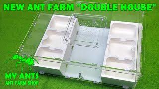 Ant Farm "Double House" (formicarium for ants/nest for ants)