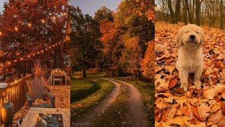 cozy autumn videos to get you in the fall mood | tiktok compilation