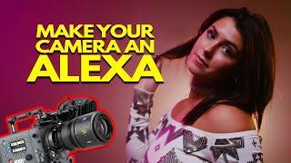 Make ANY camera look like an ALEXA with this LUT
