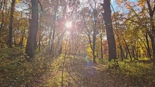 Autumn Peaceful Walk - Canada 4k UHD