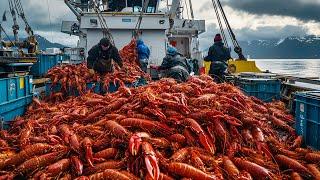 How American Fishermen Make Hundreds Of Thousands From Lobsters & King Crabs - U.S. Agriculture