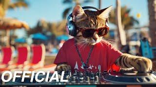 DJ MIAWW – MEOWTRONIC  [Official Music Video]