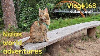 Nala exploring Ahja River Valley  Vlog #168