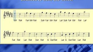 SOLFÈGE : Ré# mineur naturel, motifs ascendants et descendants