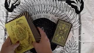 Walkthrough/unboxing of The Mushroom Tarot