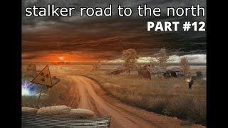 stalker road to the north #12