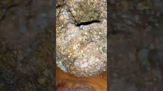 #viralvideo #crystals #youtubeshorts #ytshorts #youtube #trending #shorts #shortvideo #viralvideo