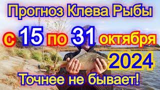 Календарь клева с 15 по 31 октября 2024 Прогноз клева рыбы на эту неделю Лунный Календарь рыбака 24