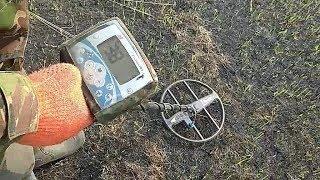 MINELAB X-TERRA 705 катушка Mars Goliaf 3 kHz/Летний КОП