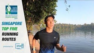 Singapore Top 5 Running Routes [part 1]: MacRitchie Reservoir