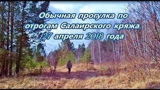 Прогулка по отрогам Салаирского кряжа.