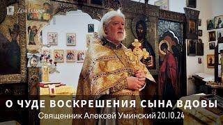 «Не рыдай мене мати. Не плачь» — прот. Алексей Уминский, о воскрешении сына вдовы, 20.10.24