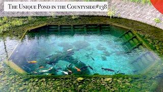 The unique koi pond in the countryside "Okichi Izumi"(Toon, Ehime)