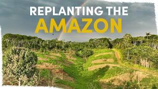 How we're growing tree islands to restore the Amazon rainforest