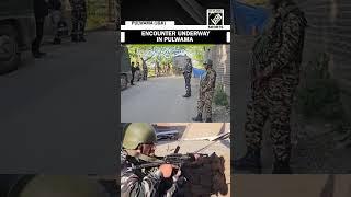 J&K: Encounter underway in Pulwama