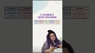 Пищевые цепи (пастбищные и детритные)