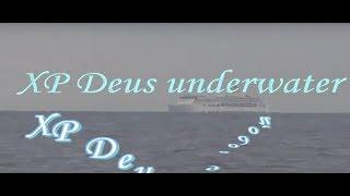 XP Deus underwater  - XP Deus под водой