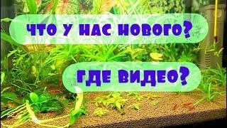 КУДА ПРОПАЛИ? У ВАС РЕМОНТ? ВСЕ МОИ ЖИВОТНЫЕ!!!