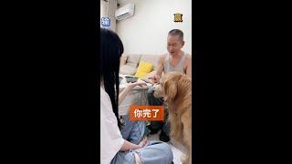 Yuanbao: Dad! I want to help you take revenge! #Likes Incentive Plan @Kuaishou Fans (O40300047) @Ku