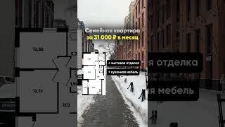 Семейная квартира в СПб с чистовой отделкой за 31000₽ в месяц - 