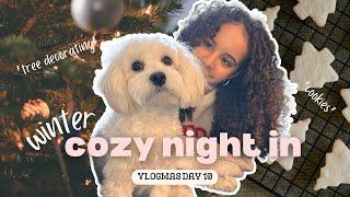 cozy winter night in vlog  VLOGMAS DAY 10 | *tree decorating* *christmas cookies* *movies*