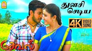 Thulasi Chediya  - 4K Video Song | துளசி செடிய | Seval | Bharath | Poonam bajwa | Hari | GV Prakash