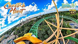 Cheetah Hunt Roller Coaster On Ride Front Seat 4K POV Busch Gardens Tampa 2024 09 30