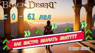 БЫСТРЫЙ ПУТЬ К 61 УРОВНЮ! Секреты прокачки Black Desert 2024.