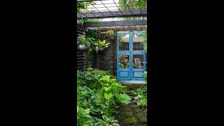An award-winning garden transformation