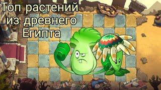 Топ растений из Древнего Египта в Plants vs Zombies 2