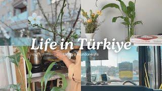 Finding Joy in the Mundane | Cooking for Iftar, Mushroom Fritters, Preparing Sigara Börek | Istanbul