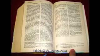 German Bible 4 U (for Young Students) / Hoffnung fur alle / Die Bibel