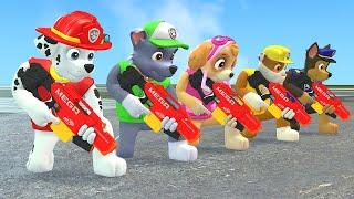 Paw Patrol Rescue Wheels Adventures & Rubble & Mayor w/ Skye & Chase | Papup Cartoon