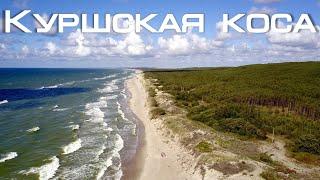 Куршская коса. Калининградская область | Вид с высоты птичьего полёта |  DJI Mavic Pro